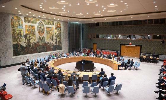 Conselho de Segurança debate tensões entre Estados Unidos e Venezuela